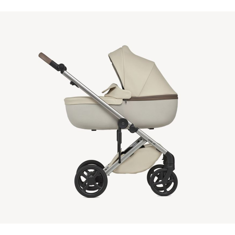 Meta title-Eli Excite