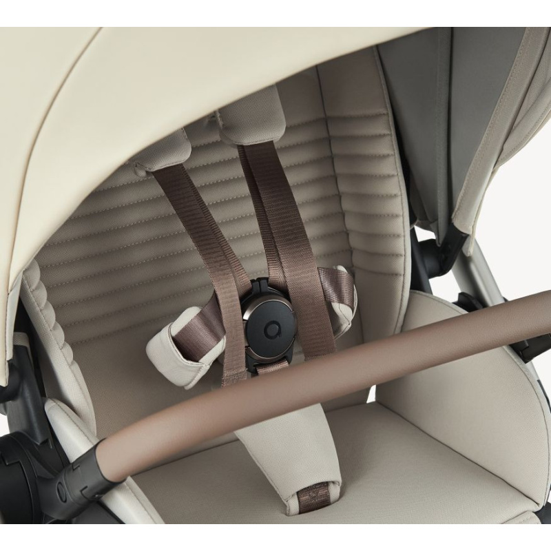 Meta title-Eli Excite