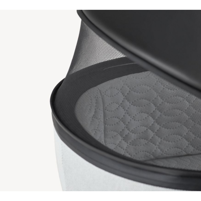 Meta title-Eli Excite