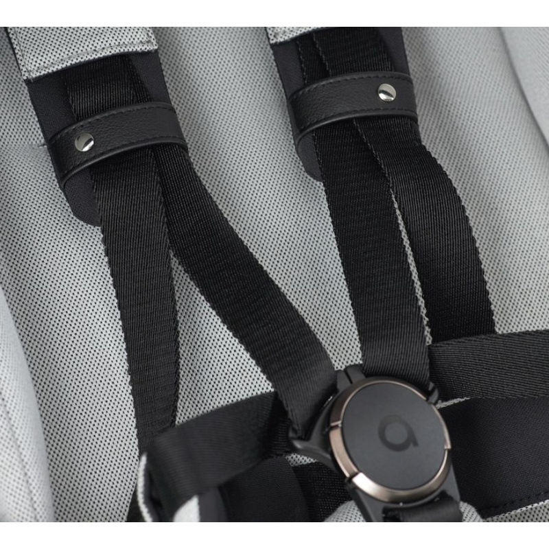 Meta title-Eli Excite