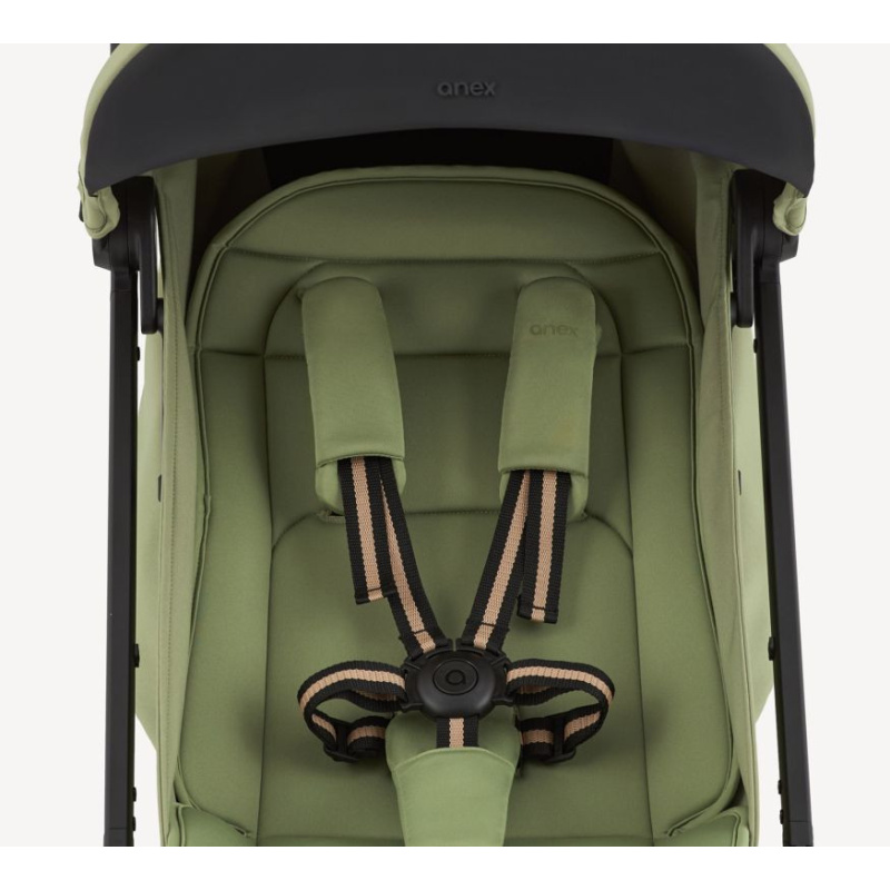 Meta title-Anex Air-X²