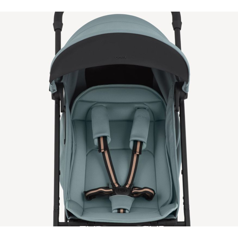 Meta title-Anex Air-X²